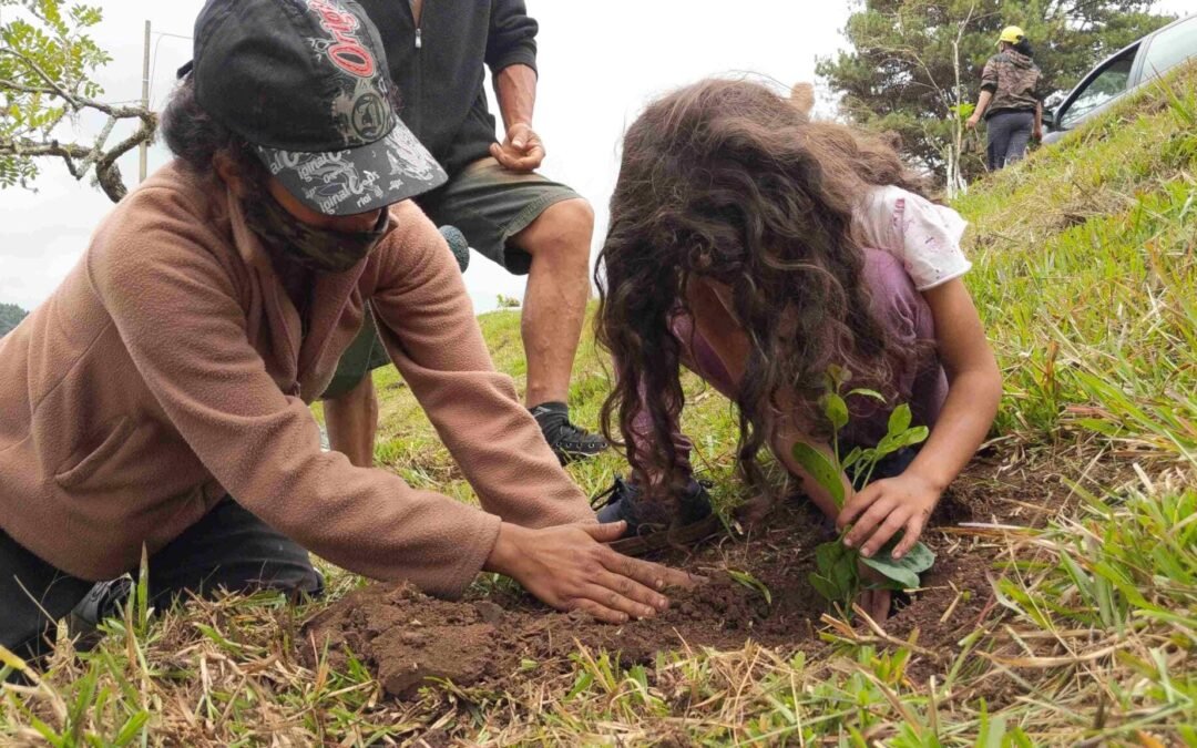 Como as mudanças climáticas impactam a agricultura familiar