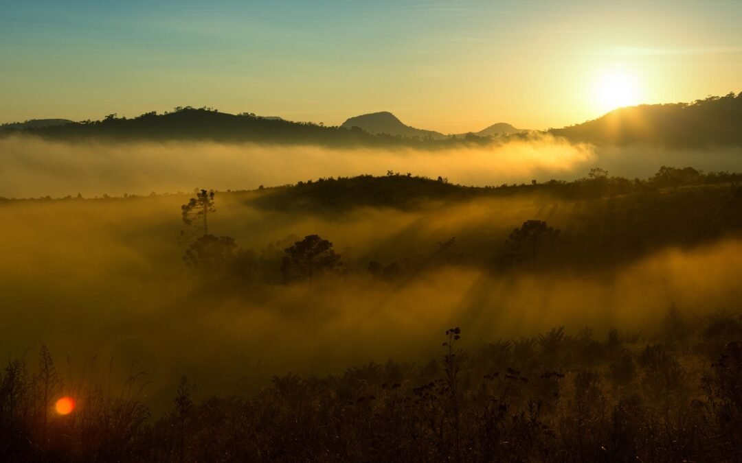 Brasil retoma Plano Clima com a participação da sociedade civil