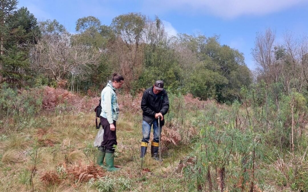 Projeto +Floresta divulga resultados do diagnóstico do meio físico