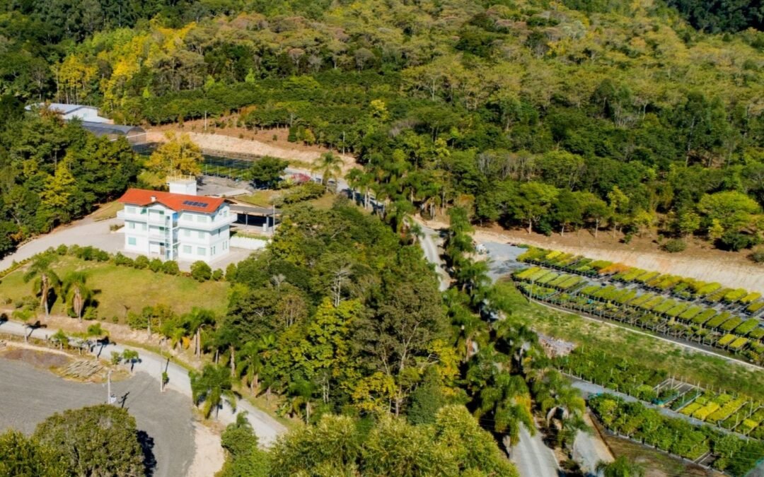 Apremavi Contrata: técnica(o) ambiental