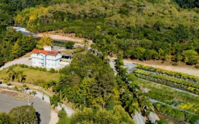 Apremavi Contrata: técnica(o) ambiental