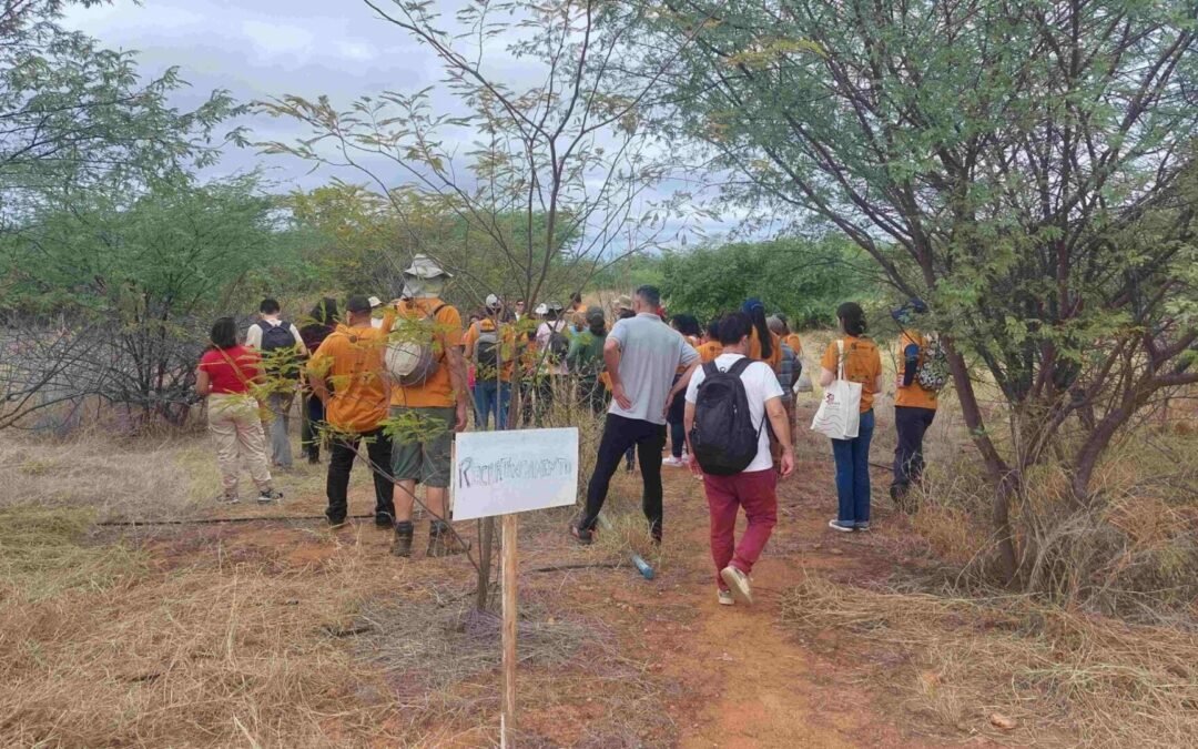 Rede de Sementes +Floresta participa do III Encontrão do Redário