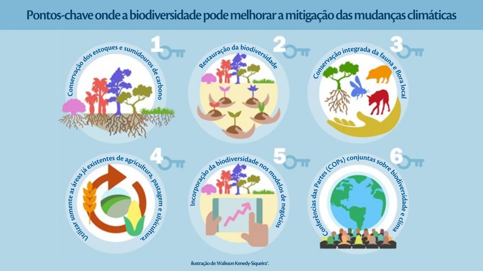 Seis pontos-chave nos quais combater a crise da biodiversidade pode contribuir para uma solução eficaz para a emergência climática (topo). Fonte Pereira et al. 2024.<br />
