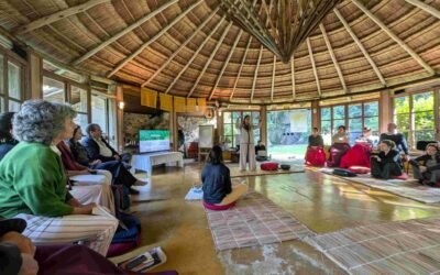 Apremavi participa de encontro da Década da Restauração da ONU