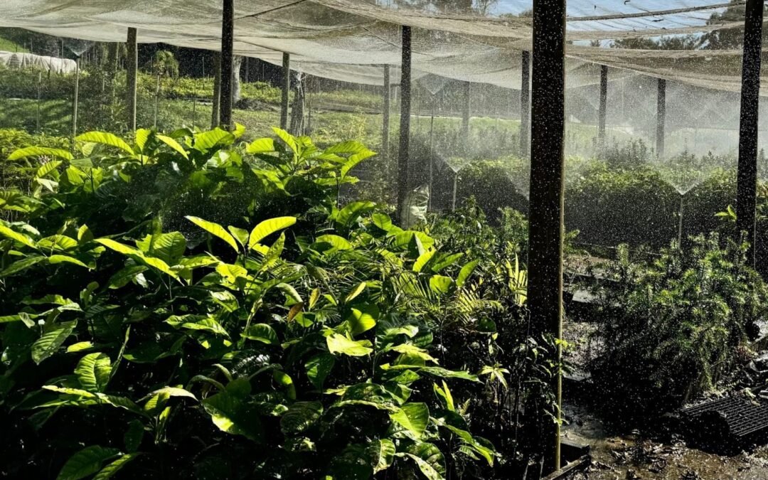 Apremavi: 37 anos de boca no trombone e mão na massa