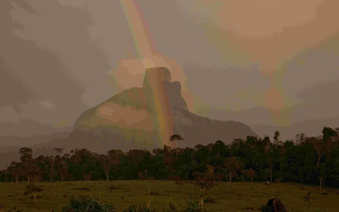 Compromissos brasileiros para 2035: sugestões do Observatório do Clima para a segunda NDC do Acordo de Paris