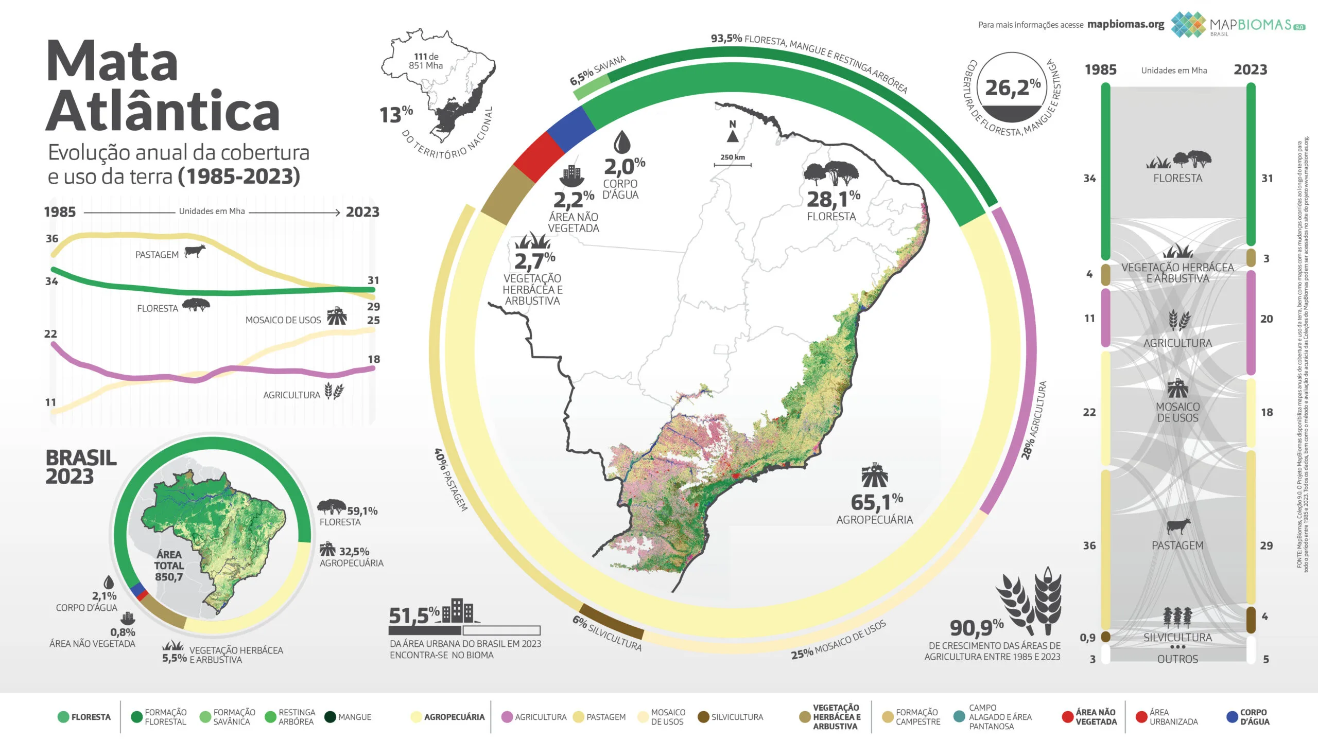 Infográfico uso e cobertura Mata Atlântica MapBiomas 2024 Infográfico uso e cobertura Mata Atlântica MapBiomas 2024