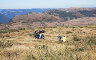 É preciso fazer mais para o cumprimento dos Objetivos do Desenvolvimento Sustentável