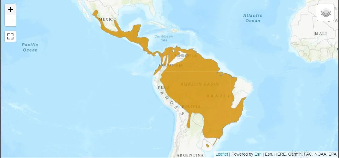 Mapa de distribuição do maracajá Fonte IUCN Mapa de distribuição do maracajá