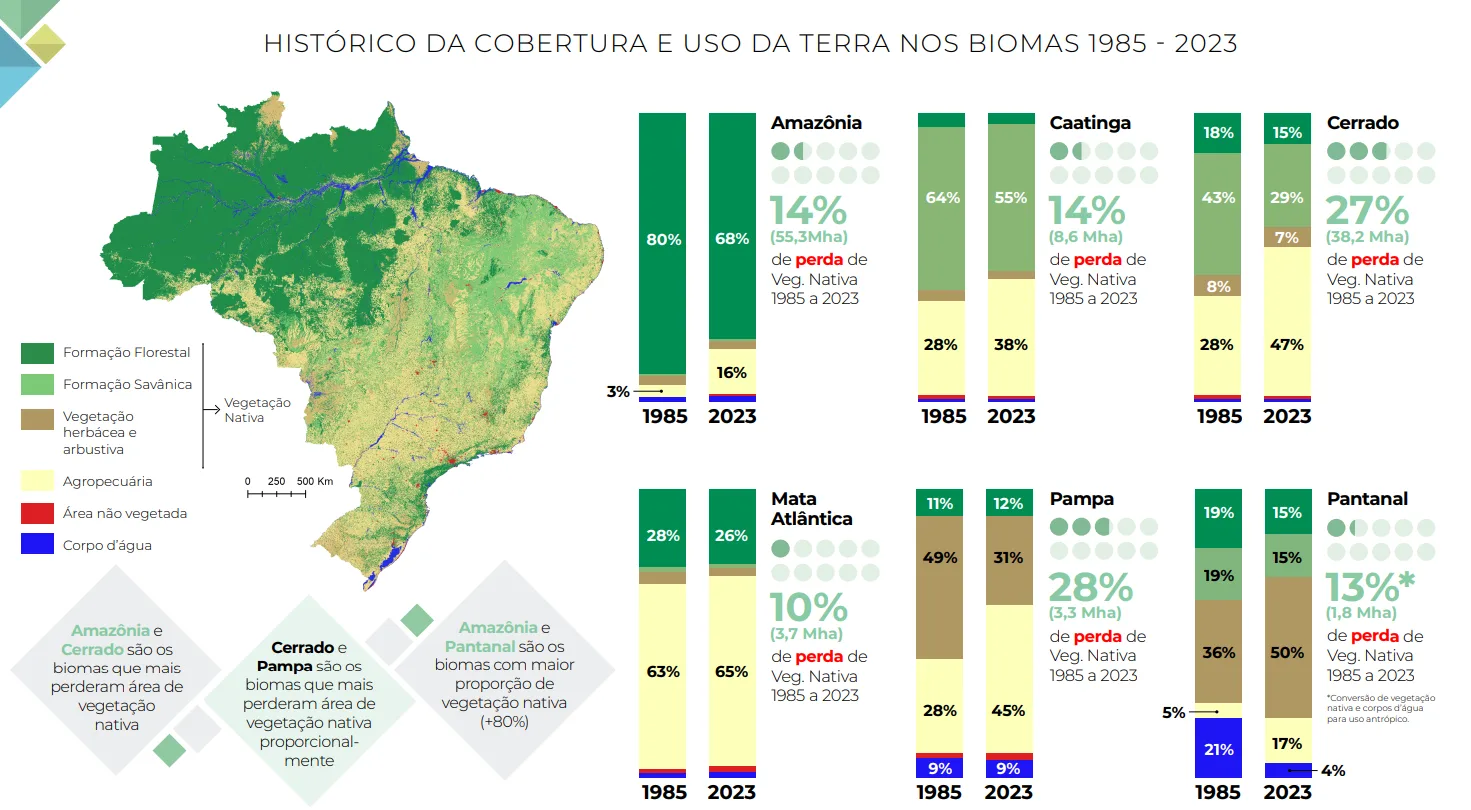 Histórico do uso e cobertura da terra MapBiomas 2024 Histórico do uso e cobertura da terra MapBiomas 2024