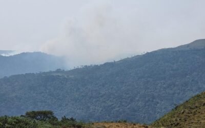 Incêndios criminosos agravados pelas mudanças climáticas impedem o Brasil de respirar