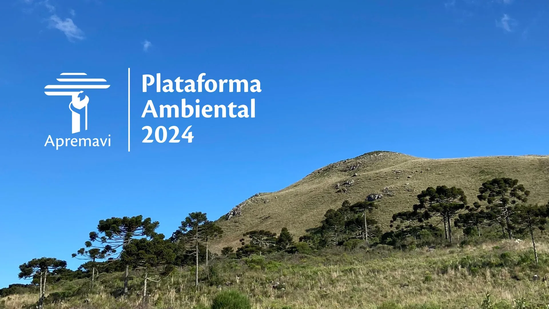 plataforma ambiental 2024