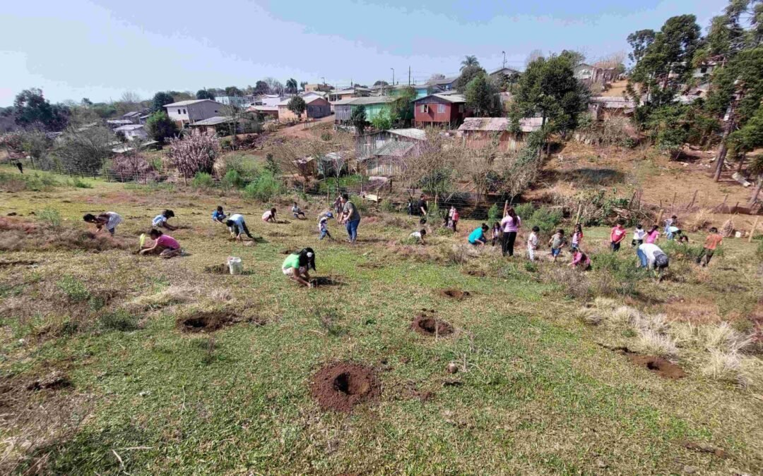 Projeto +Floresta inicia restauração ecológica na TI Toldo Imbú em Abelardo Luz (SC)