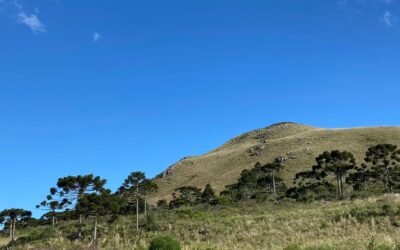 Plataforma Ambiental 2024