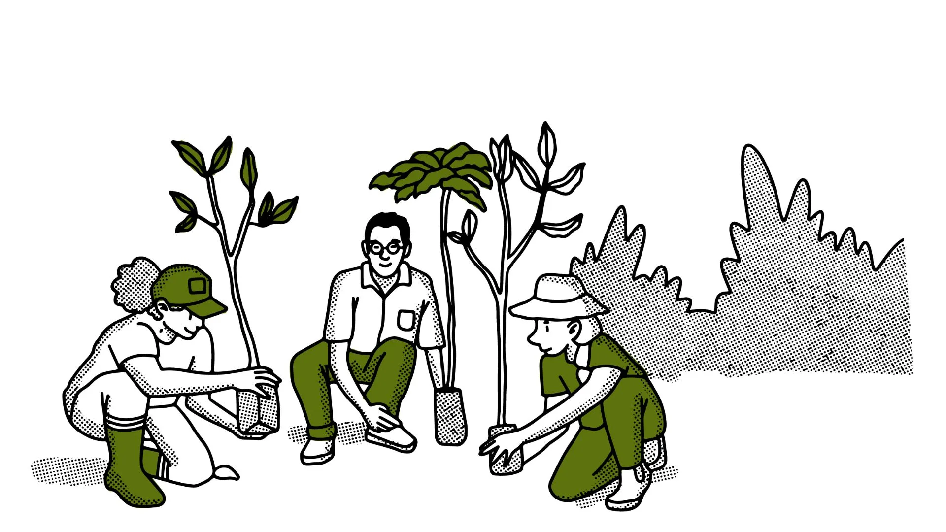 ilustra plantio