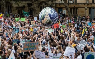 Litigância climática: instrumento de enfrentamento à mudança no clima