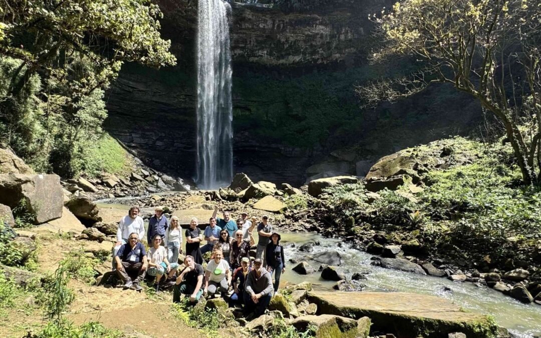 Seminário discute ameaças e oportunidades para Unidades de Conservação do Sul da Mata Atlântica