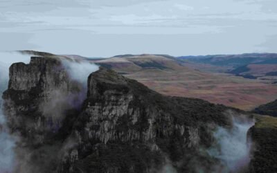 Parecer alerta para riscos na restrição de proteção dos Campos de Altitude em Santa Catarina