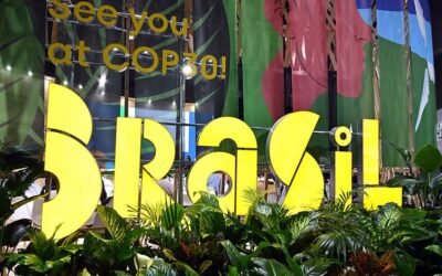 COP29: avanços limitados e desafios à vista para o Brasil em 2025
