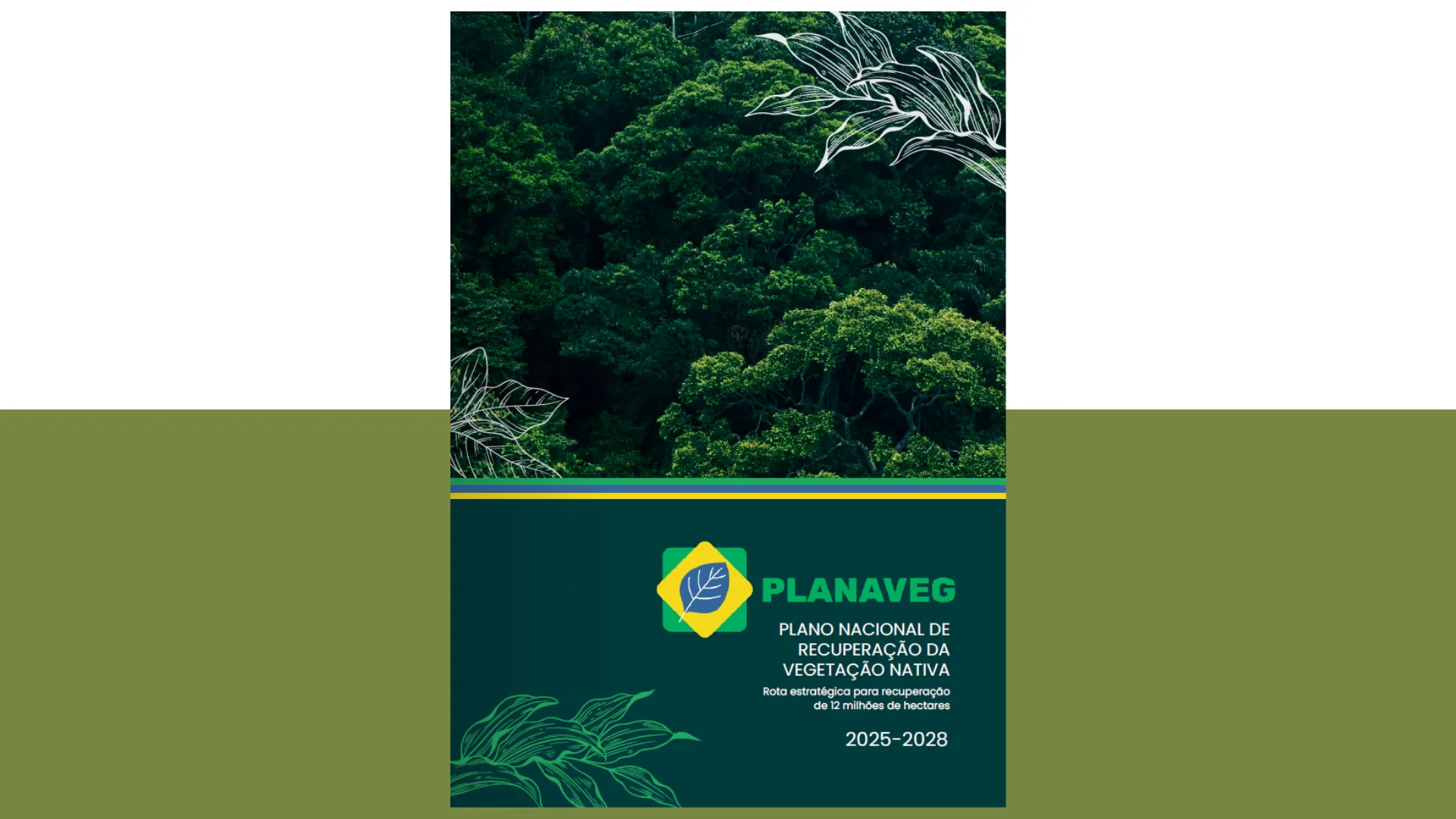 Planaveg 2025-2028