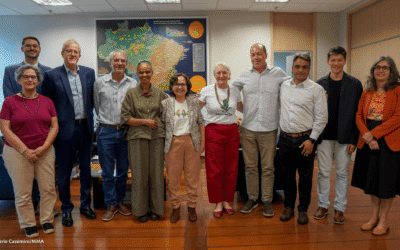 Ministra Marina Silva recebe ambientalistas para falar sobre a Mata Atlântica