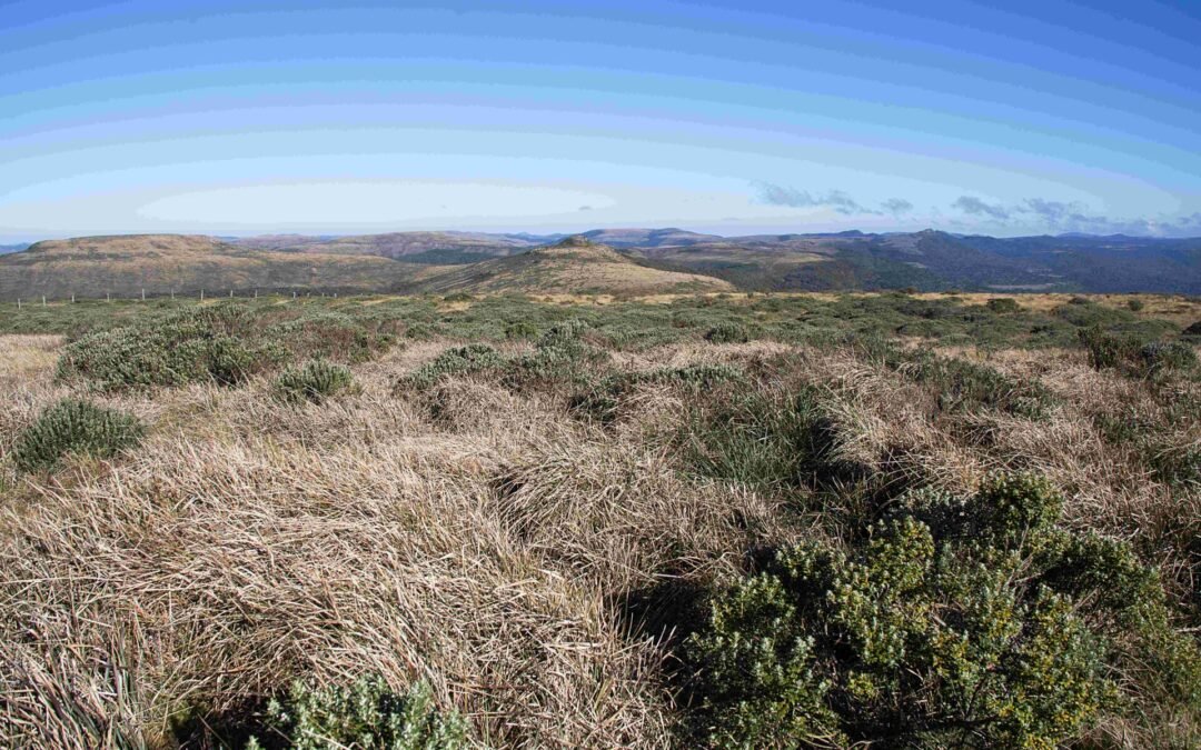 A história de formação dos Campos de Altitude