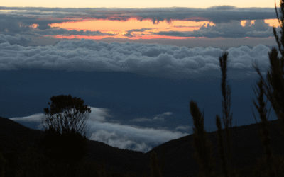Estados brasileiros e sua capacidade de enfrentar as mudanças climáticas