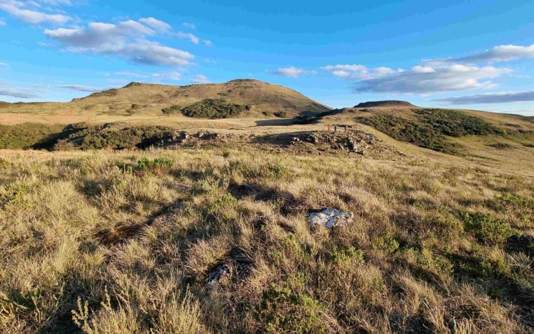 Campos de Altitude: biodiversidade e clima em perigo