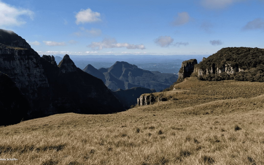 O ecoturismo nos Campos de Altitude