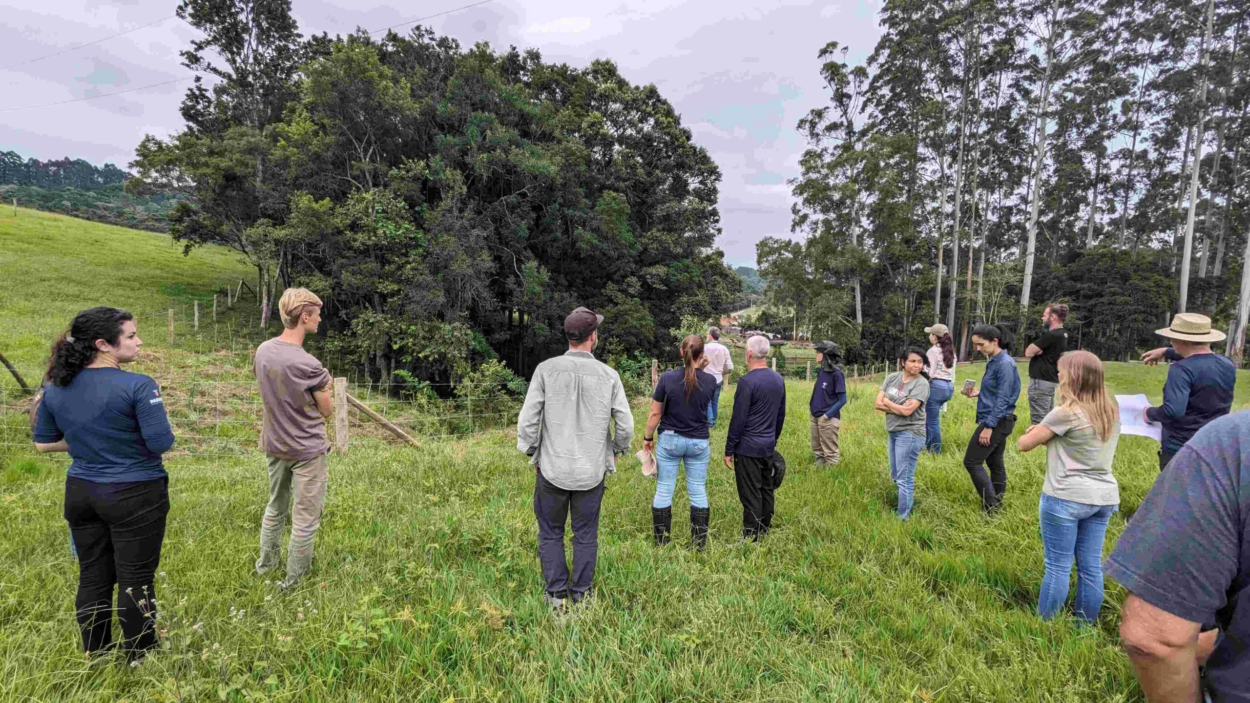 Mutirão de plantio e visitas às propriedades atendidas pelo Conservador das Araucárias em Atalanta