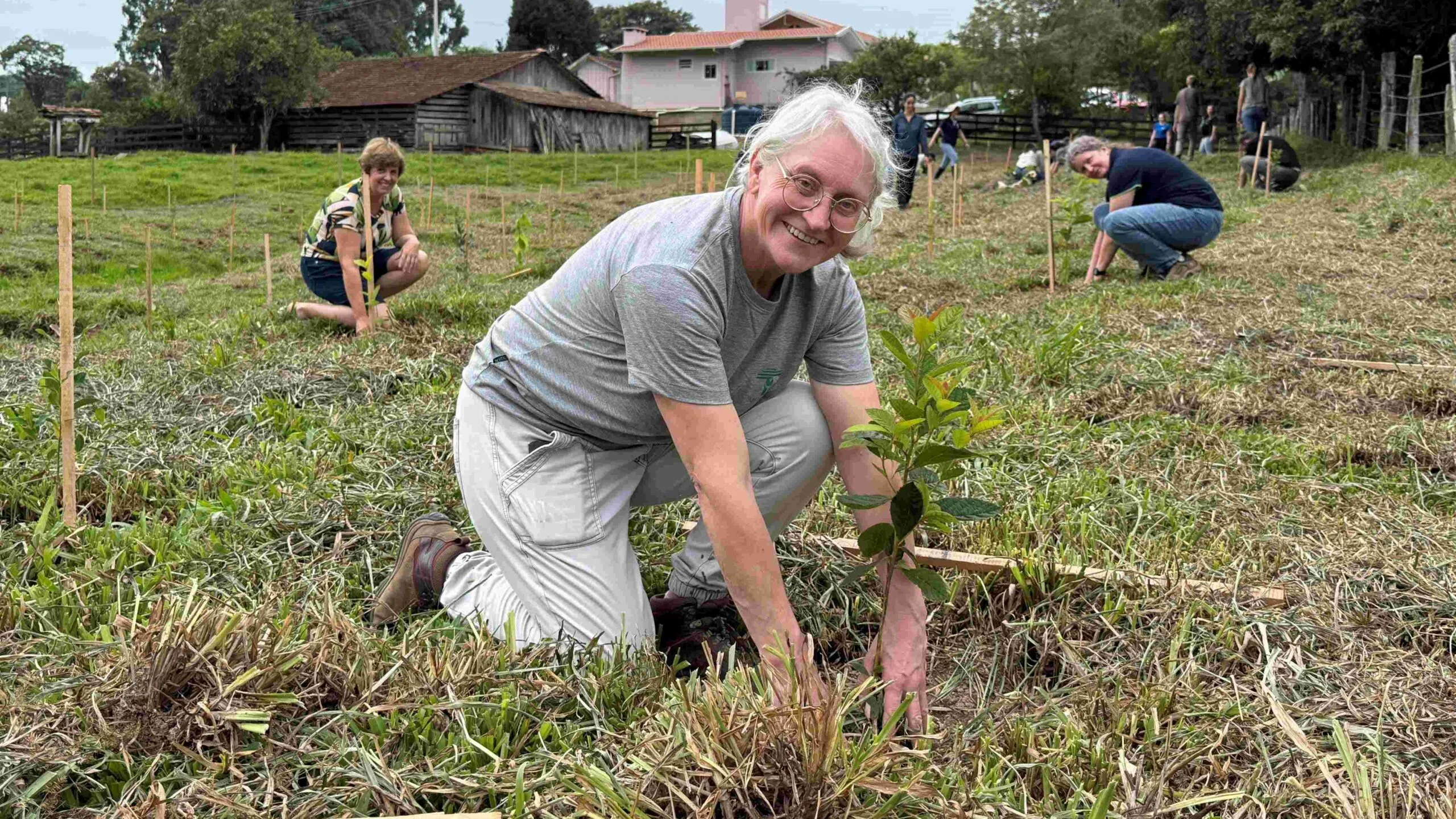 Mutirão de plantio e visitas às propriedades atendidas pelo Conservador das Araucárias em Atalanta Foto Wigold Schaffer Mutirão de plantio e visitas às propriedades atendidas pelo Conservador das Araucárias em Atalanta