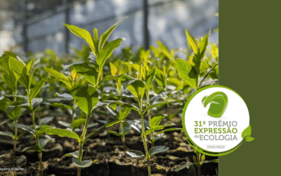 Apremavi é premiada em duas categorias do 31° Prêmio Expressão de Ecologia