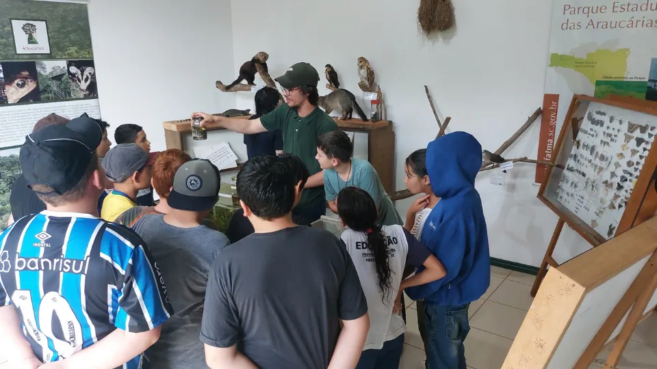 Registros das atividades do programa Geração +Floresta.