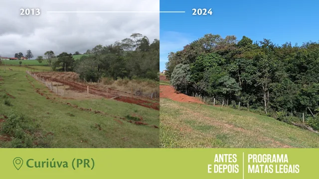 Antes e Depois do Programa Matas Legais
