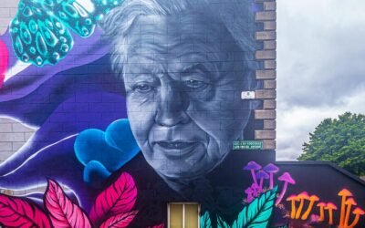 A emoção de ver a Terra com os olhos de David Attenborough