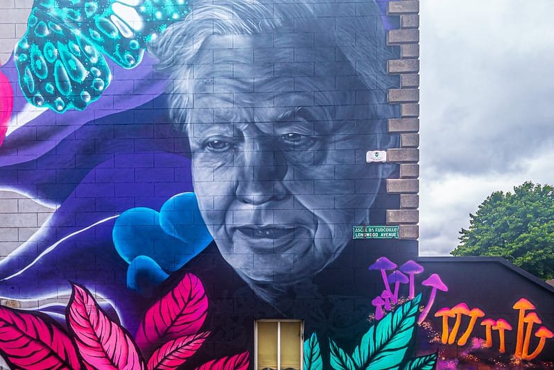 A emoção de ver a Terra com os olhos de David Attenborough