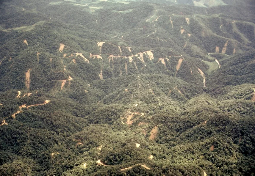 Destruição na Serra do Itajaí Mata Atlântica