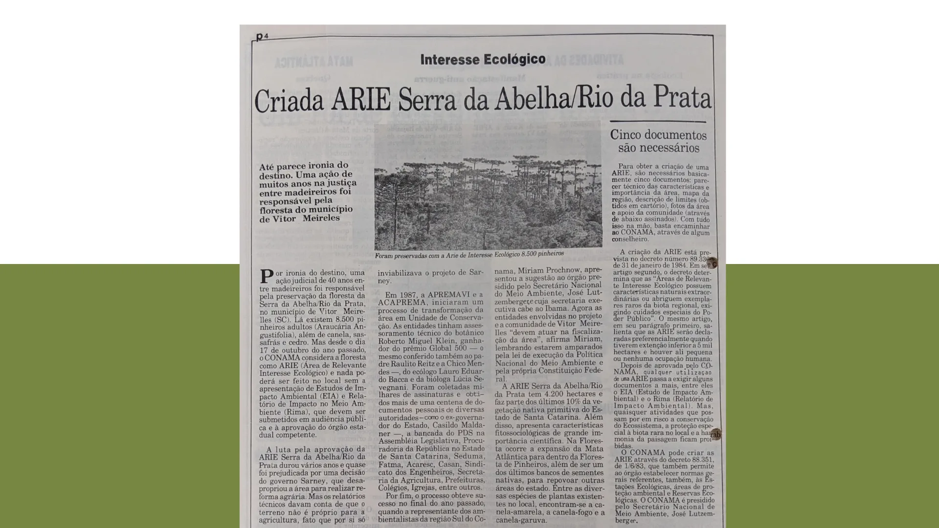 Histórico resumido da criação da ARIE Serra da Abelha e a importância do CONAMA.