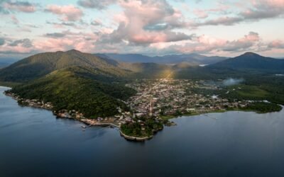 A Mata Atlântica resiste com soluções que florescem em rede
