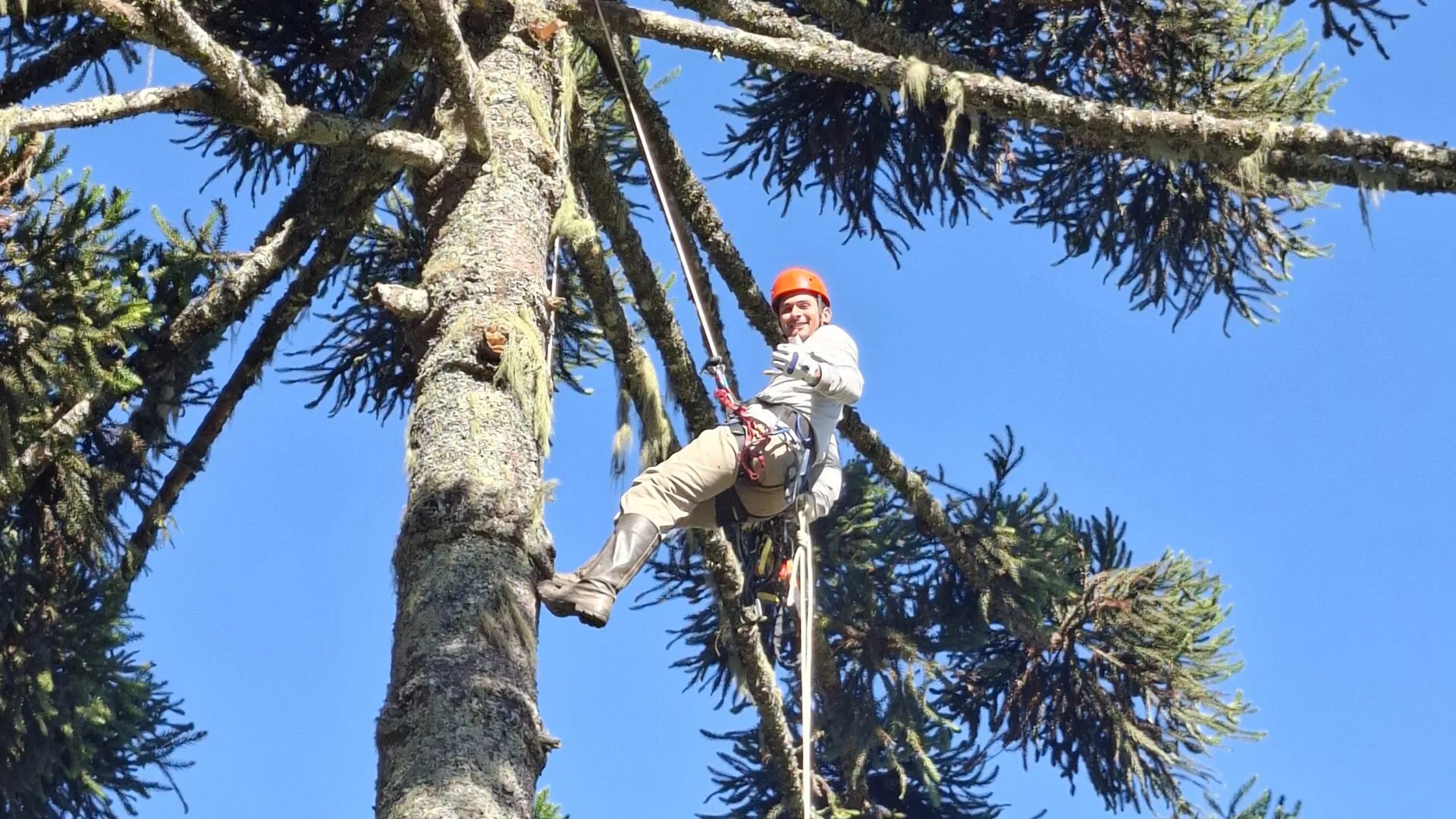 Treinamento em escalada de árvores para coleta de frutos e sementes nativas na Fazenda Taquara em Painel (SC)