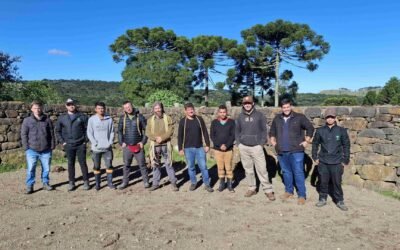 Escalada que dá escala: treinamento fortalece a coleta de sementes
