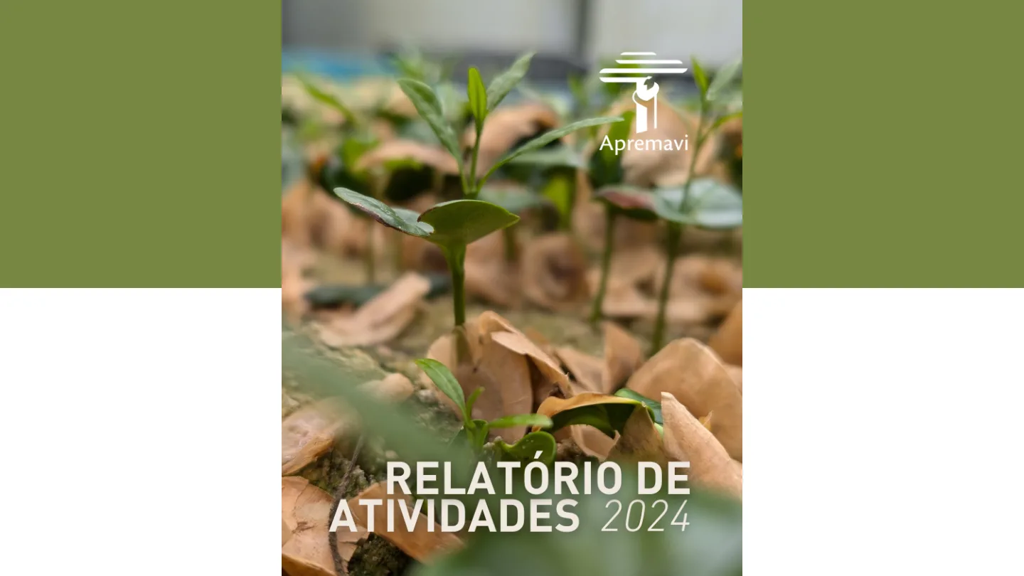 capa_relatorio_2024