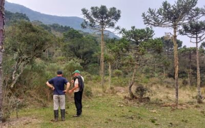 O que leva um proprietário rural a conservar e restaurar a floresta?