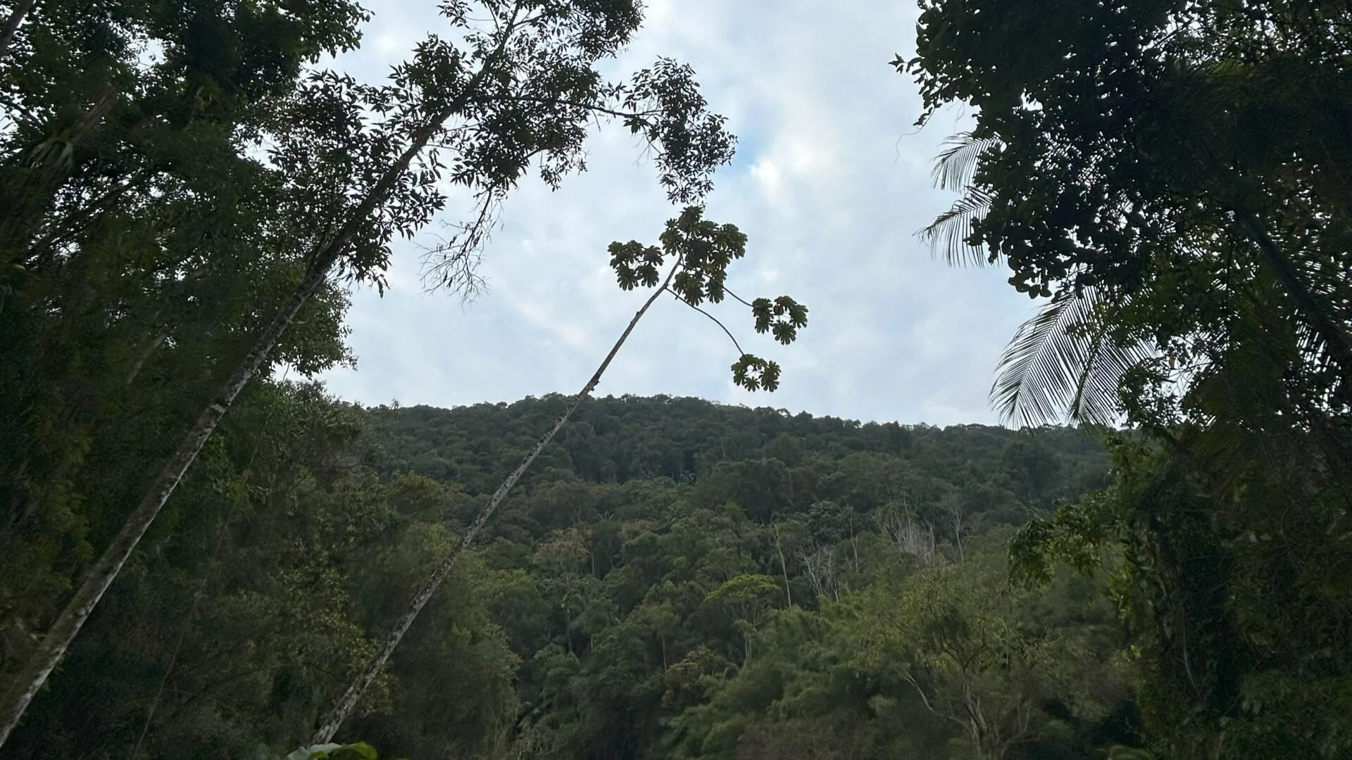 Paisagem da RPPN Chácara Edith em Brusque, anfitriá do encontro de 20 anos da RPPN Catarinense