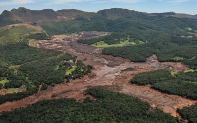 No Dia de Proteção às Florestas, Apremavi repudia a aprovação do PL da Devastação na Câmara dos Deputados