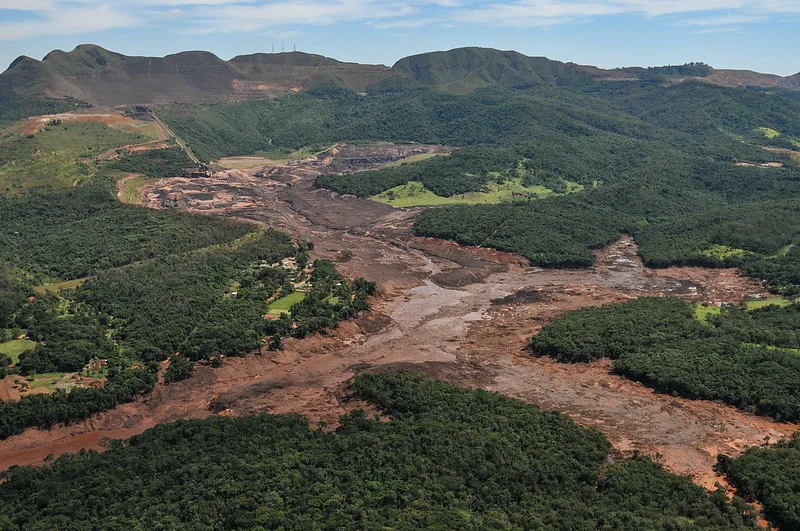 No Dia de Proteção às Florestas, Apremavi repudia a aprovação do PL da Devastação na Câmara dos Deputados