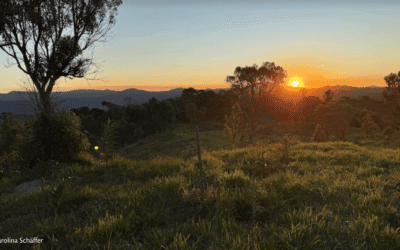 RPPN Irmãs Grimm é criada pela Apremavi