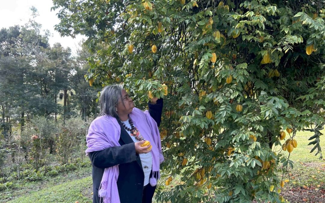 Soberania alimentar e economia solidária: Xica da Silva