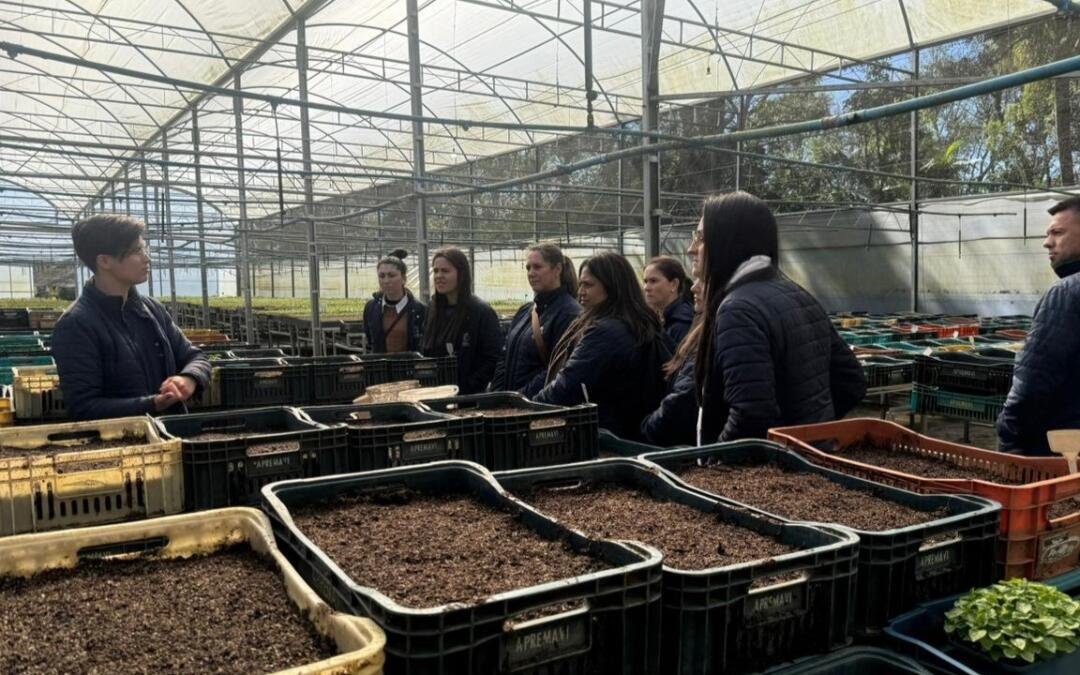 Visitantes vivenciam a restauração e a conservação na Apremavi