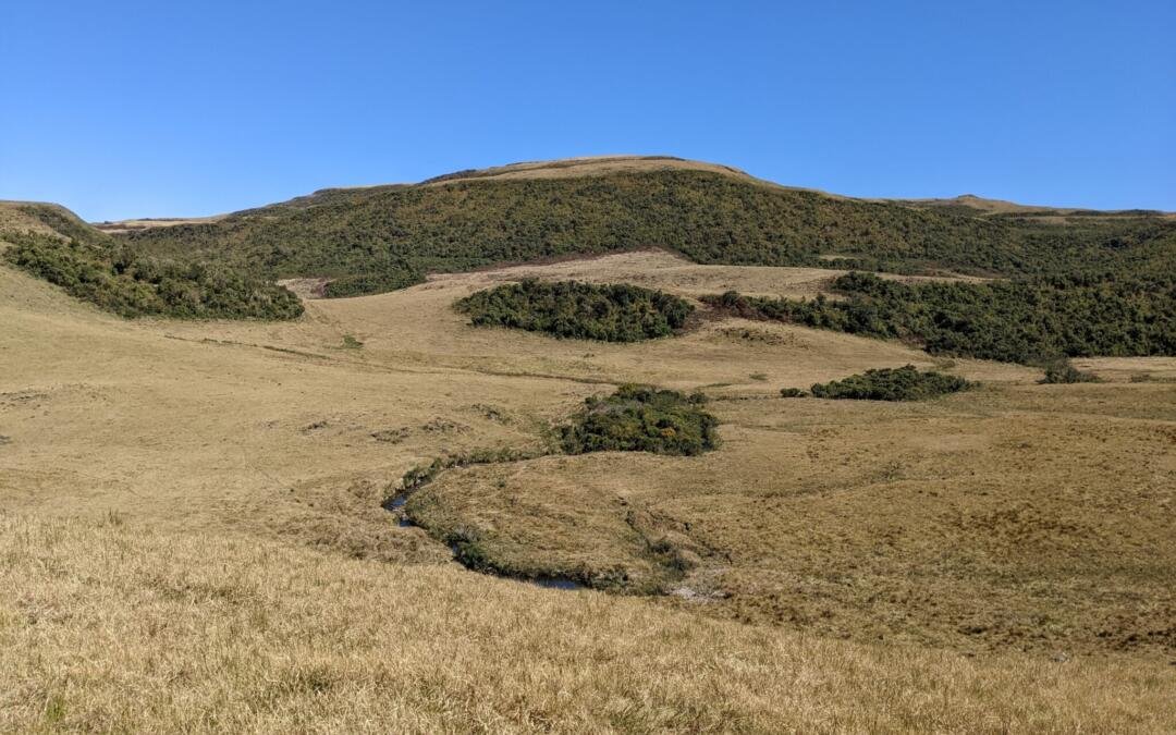 Campos de Altitude seguem ameaçados e no centro de disputa judicial